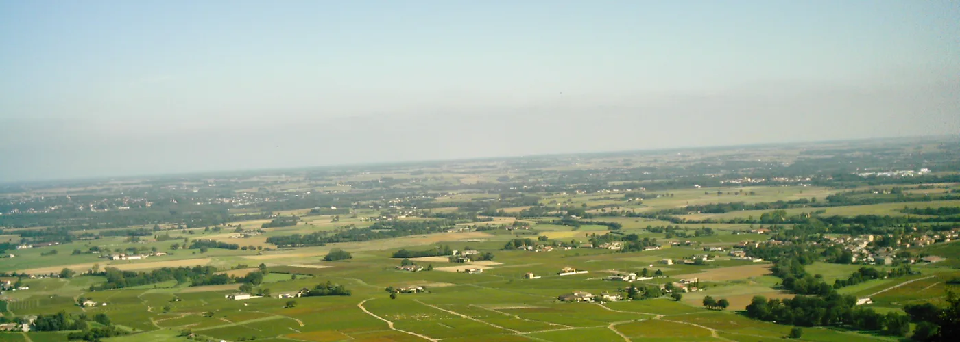 Beaujolais vineyard