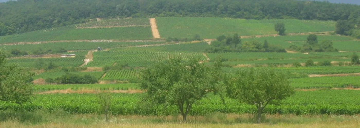 Côte de Nuits