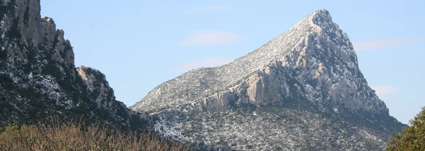 Coteaux du Languedoc