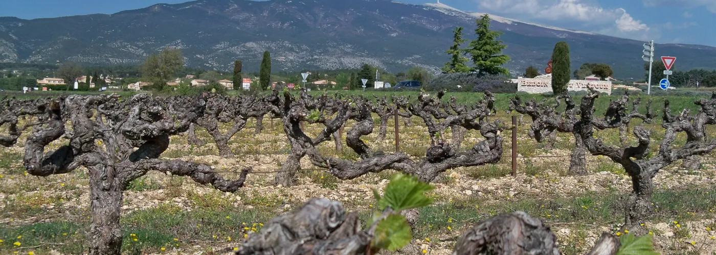 Côtes du Ventoux AOC