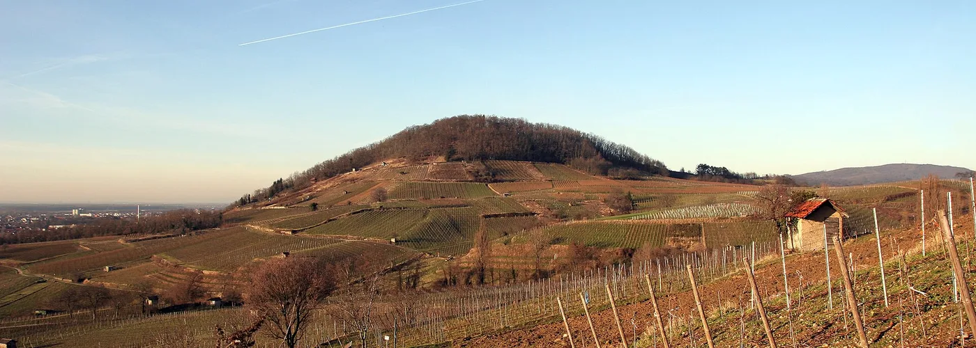 Hessische Bergstraße
