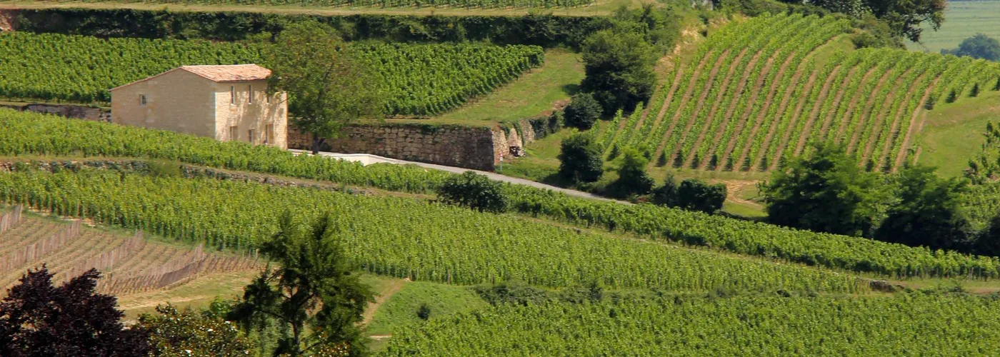 Jurisdiction of Saint-Emilion