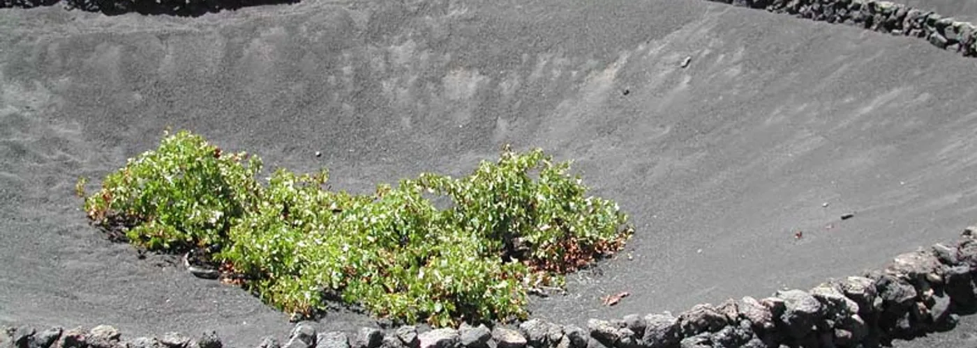 Lanzarote