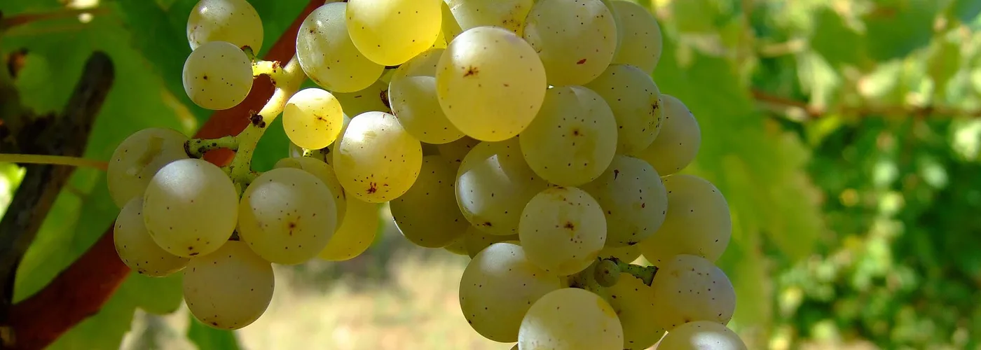 Loire Valley