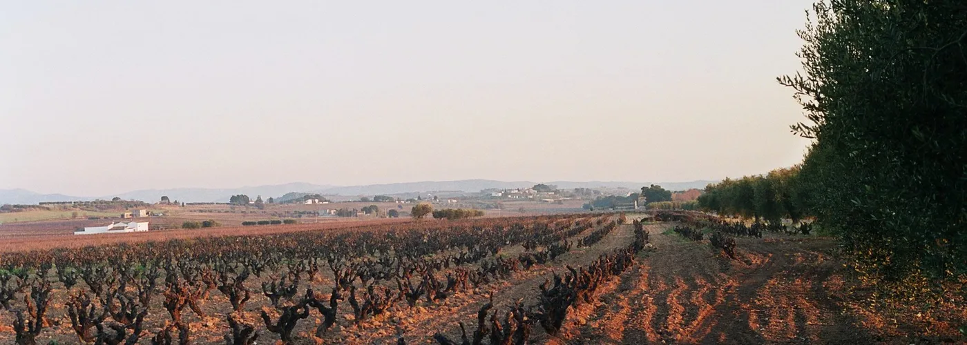 Penedès