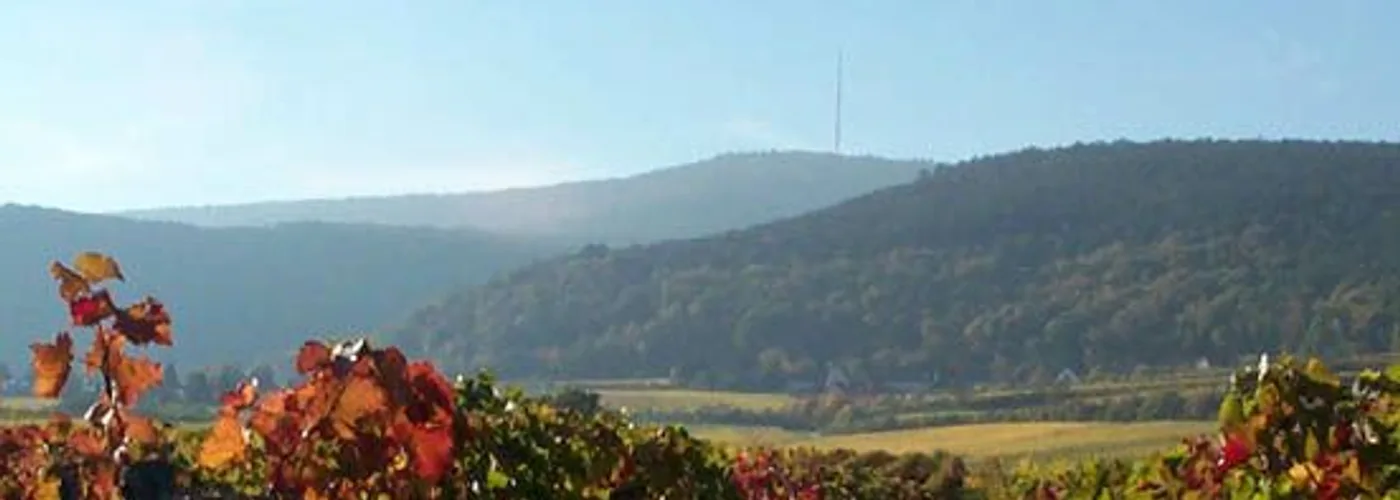 Pfalz