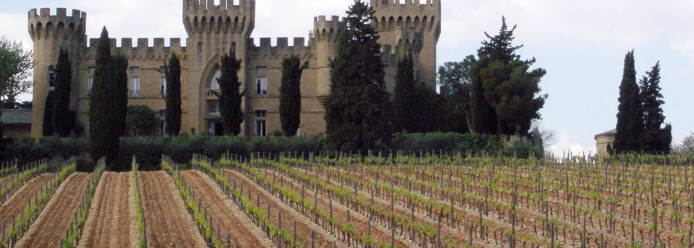 Rhône wine