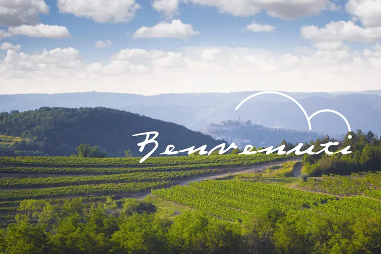 Winery Benvenuti