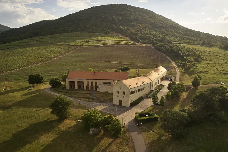 Winery Béres Borászat