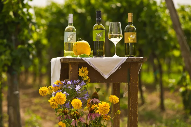 Winery BIO Weinhof Vogl