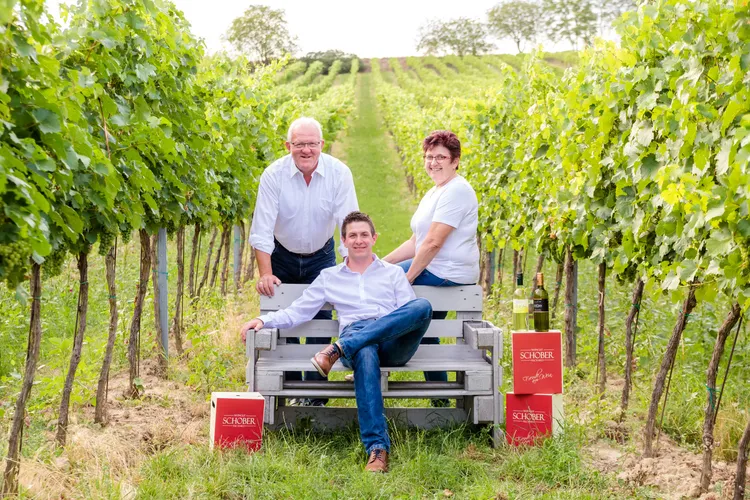 Winery Bioweingut Schober