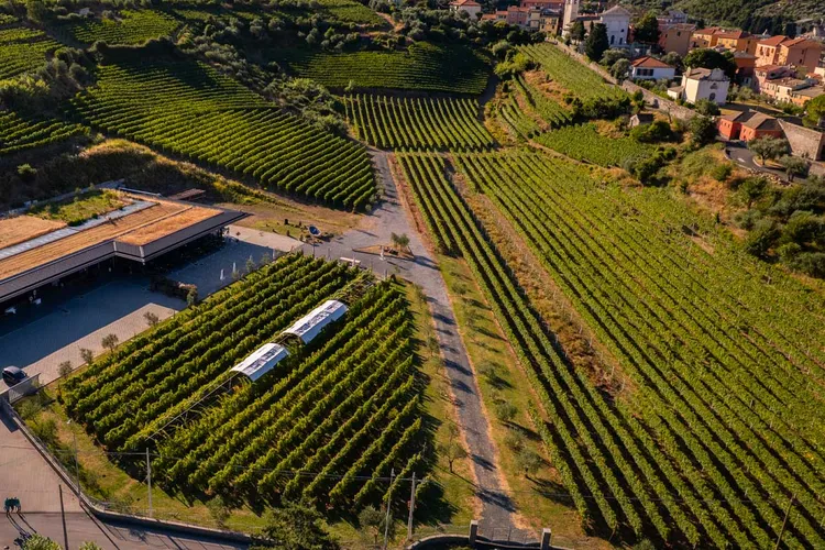 Bisson Vini Cantina degli Abissi