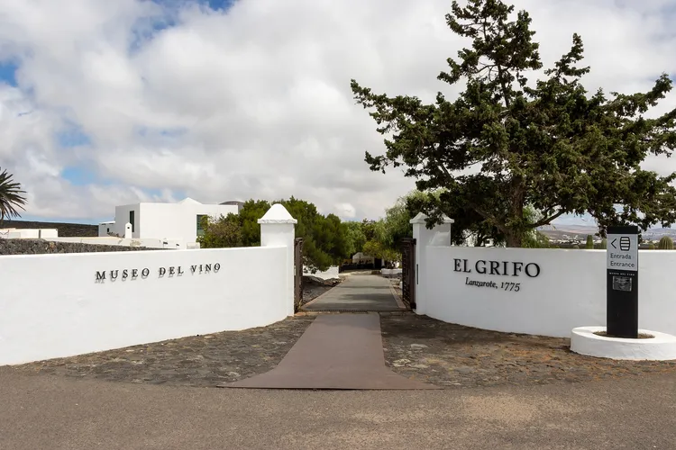 Winery Bodega El Grifo