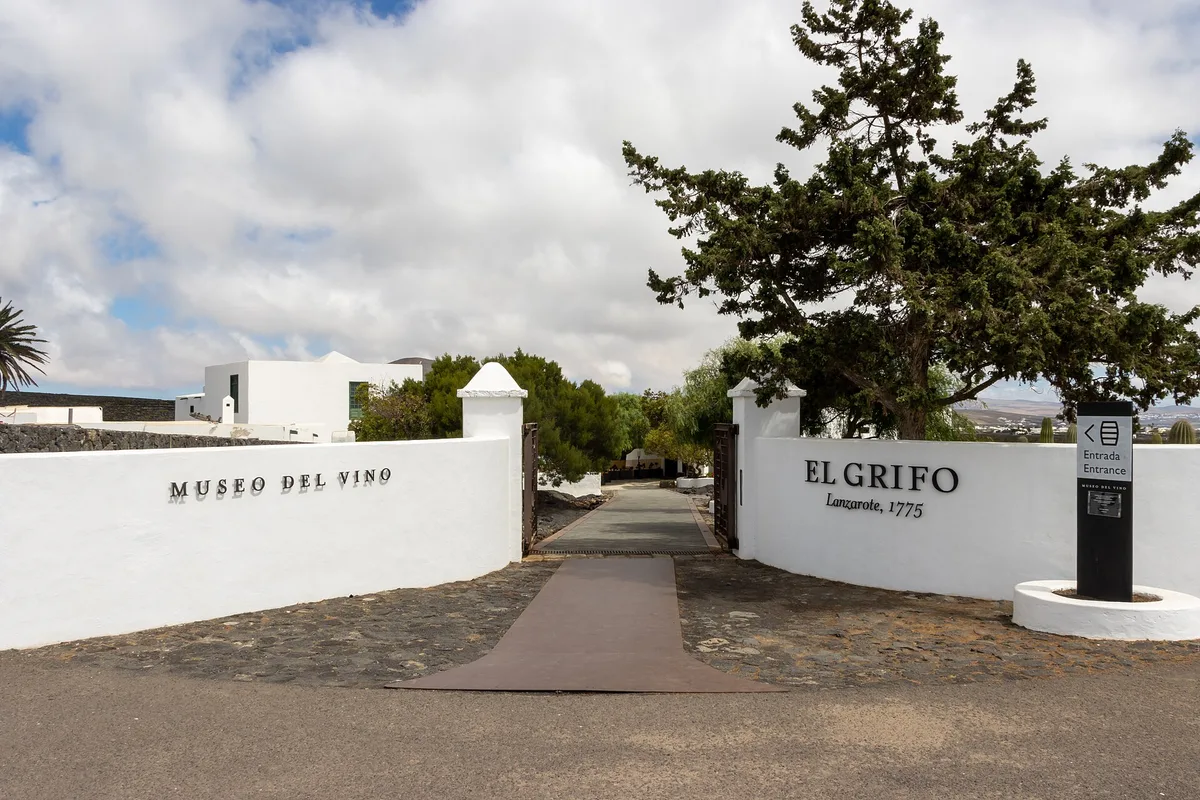 Winery Bodega El Grifo