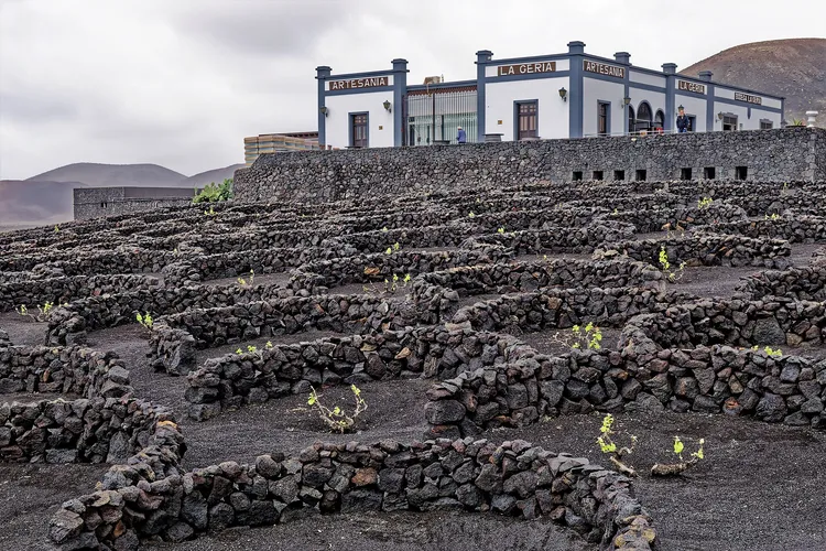 Winery Bodega La Geria