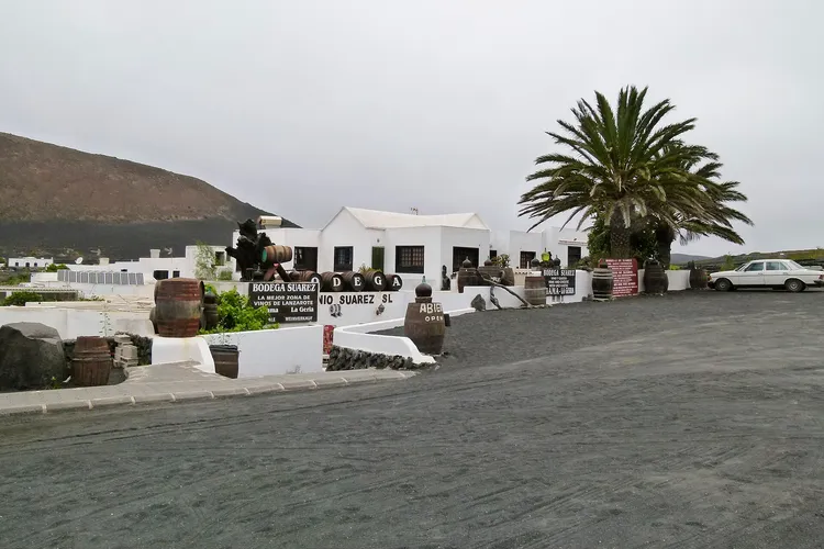Winery Bodega Suárez