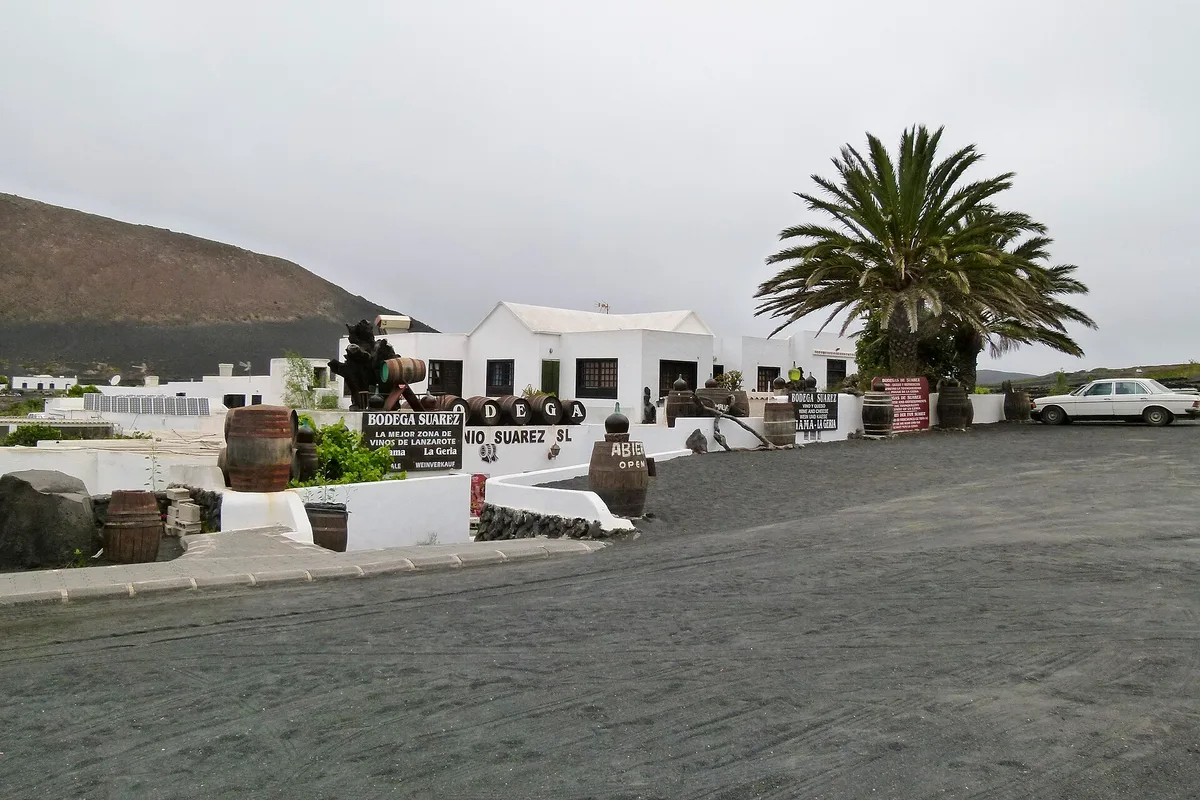 Winery Bodega Suárez