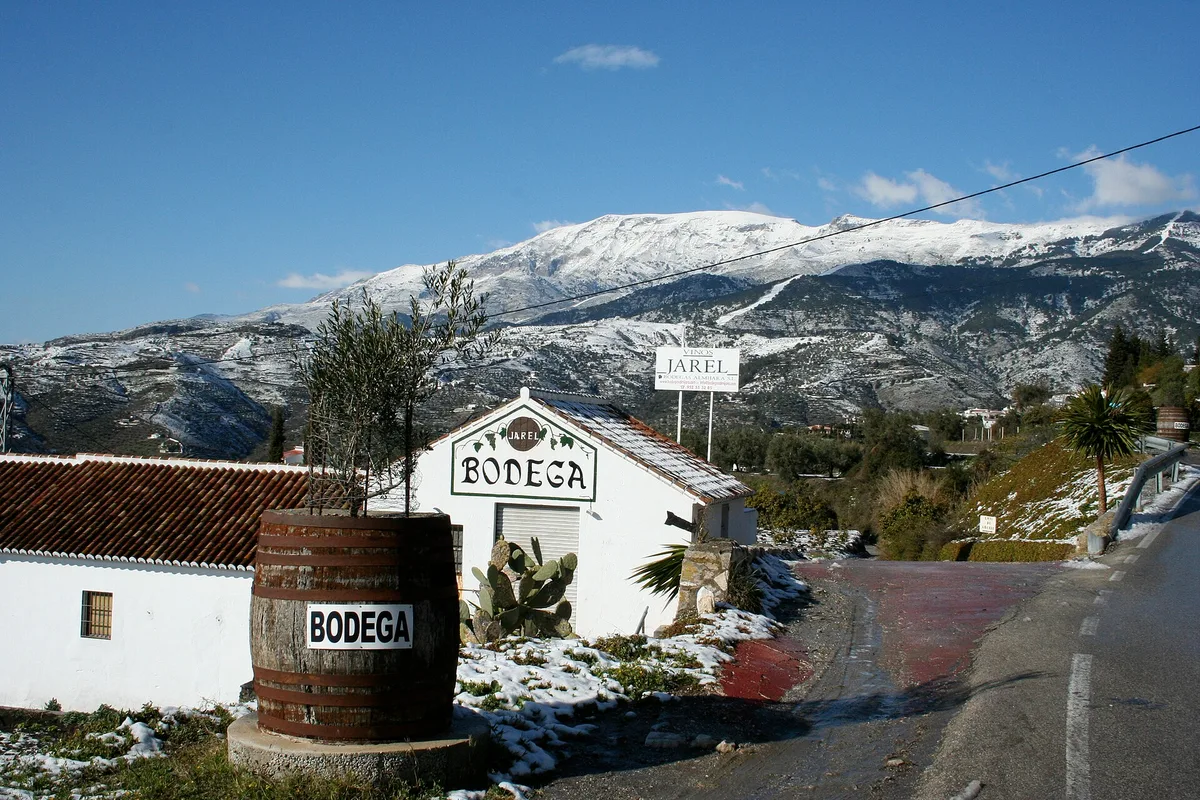 Winery Bodegas Almijara