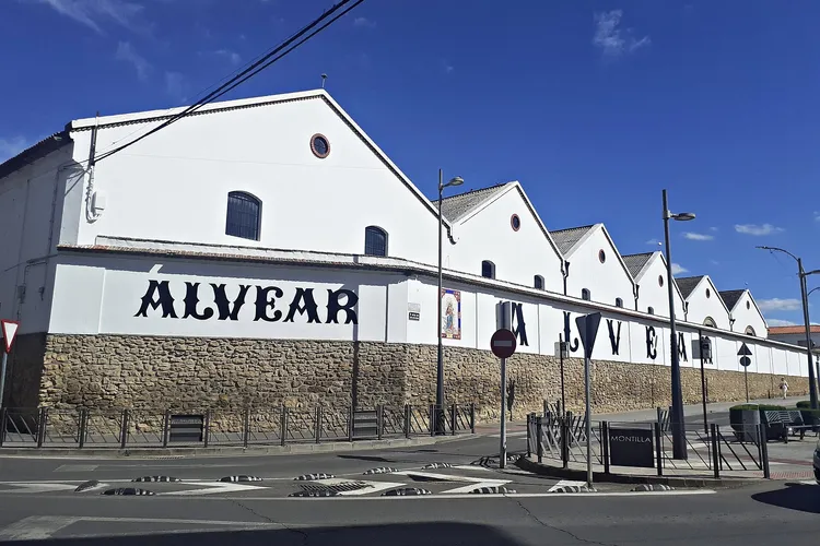 Winery Bodegas Alvear