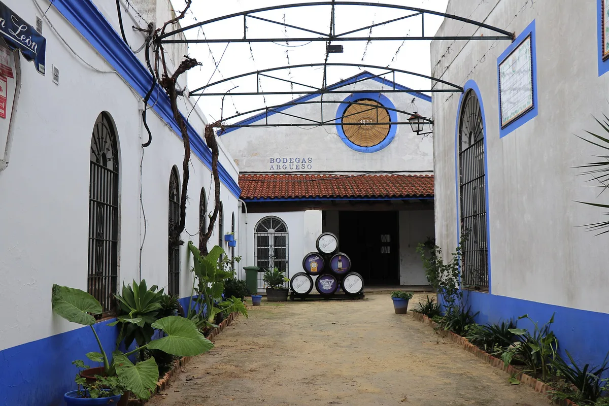 Winery Bodegas Argüeso