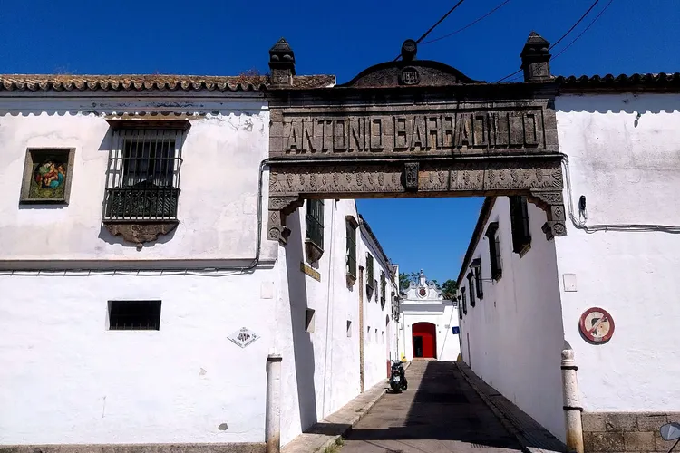 Winery Bodegas Barbadillo, S.L