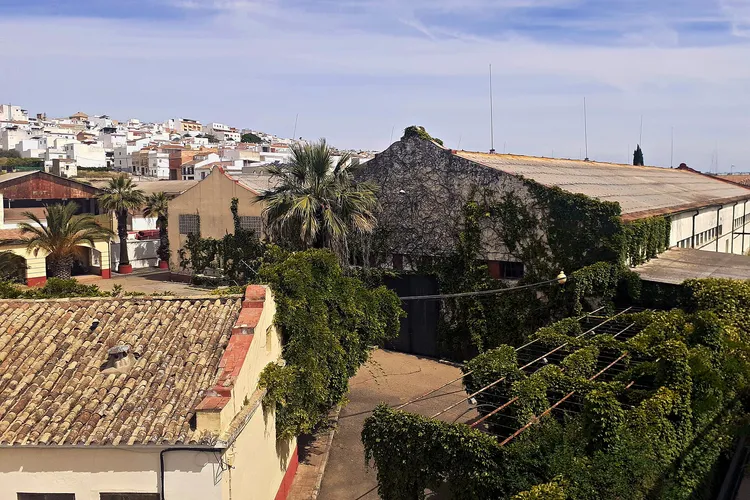 Winery Bodegas Gracia