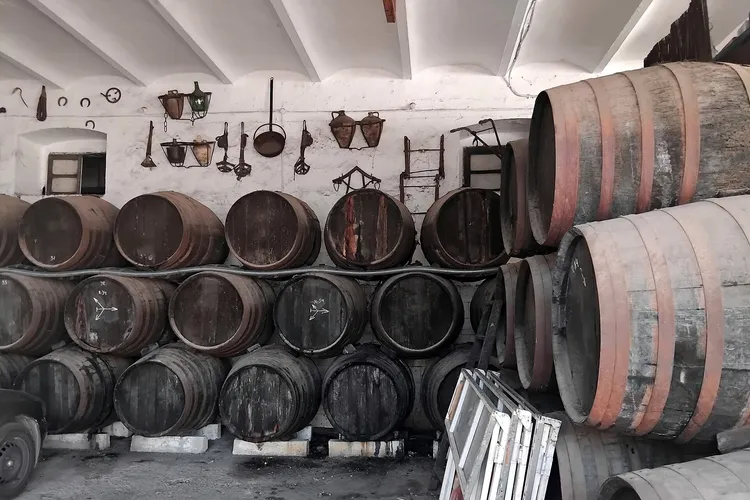 Winery Bodegas Luque