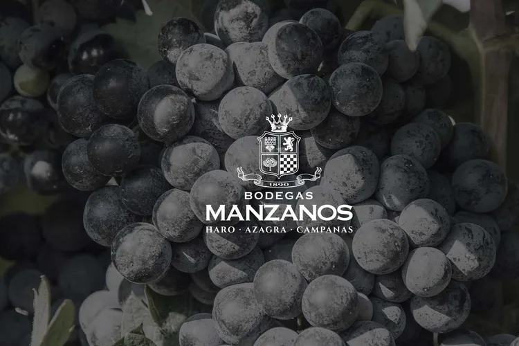Winery Bodegas Manzanos Campanas