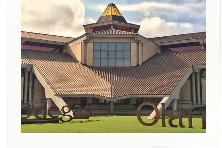Winery Bodegas Olarra S.A