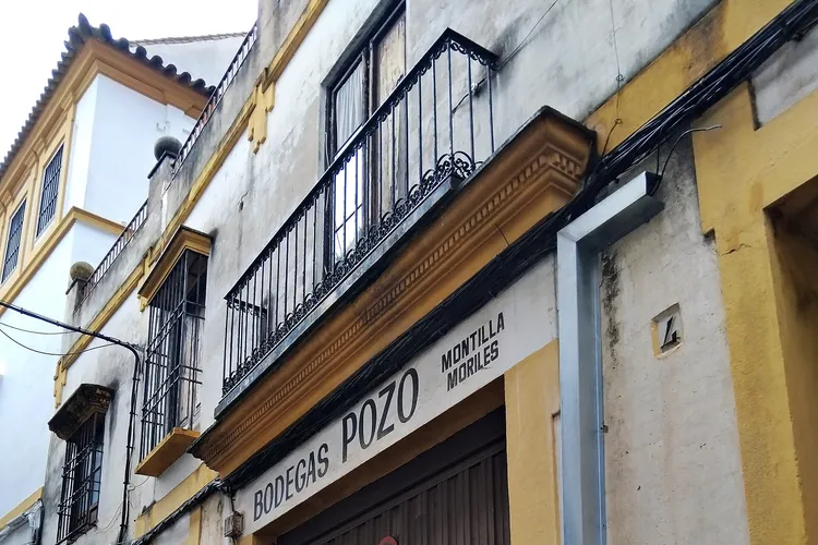 Winery Bodegas Pozo