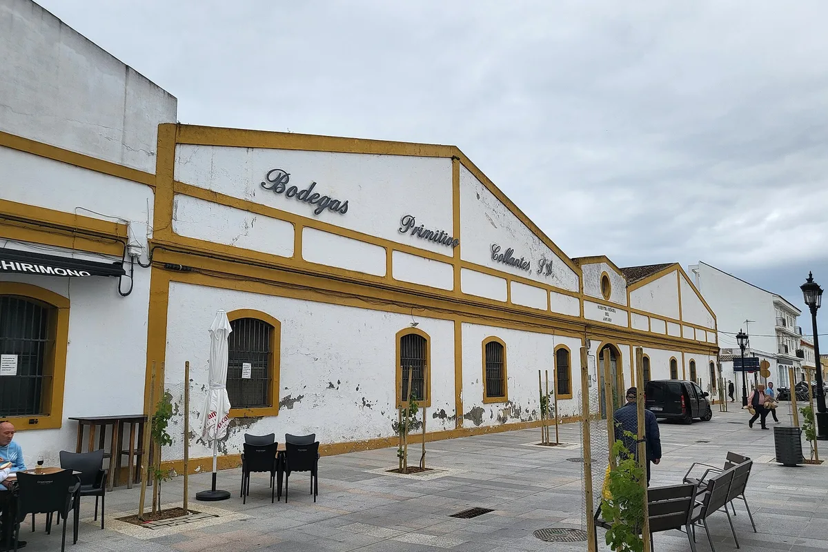 Winery Bodegas Primitivo Collantes