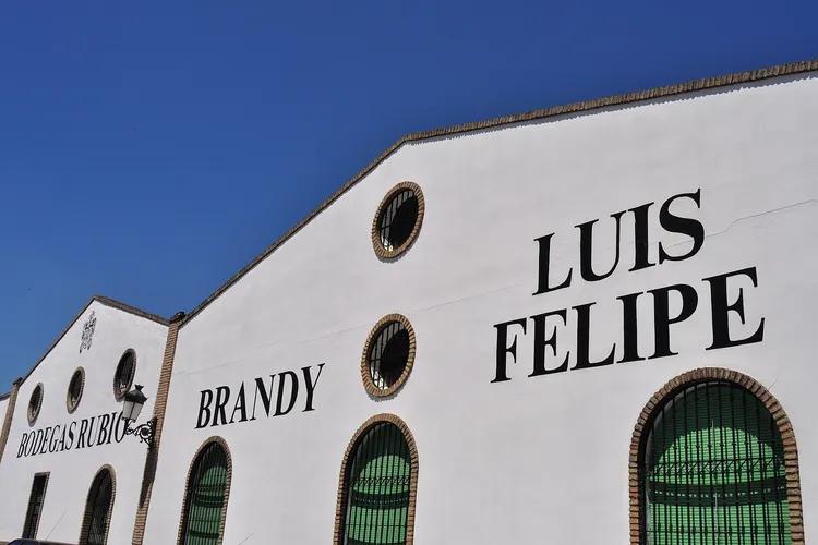 Winery Bodegas Rubio
