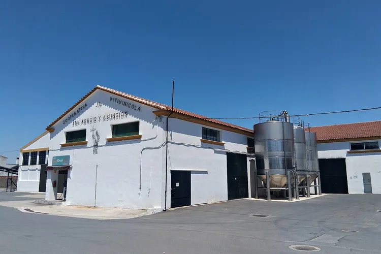Winery Bodegas San Acacio