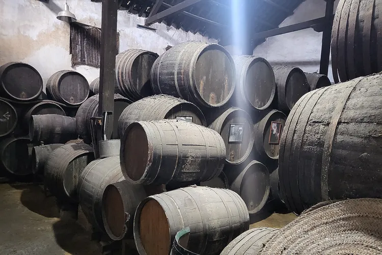 Winery Bodegas San Sebastián