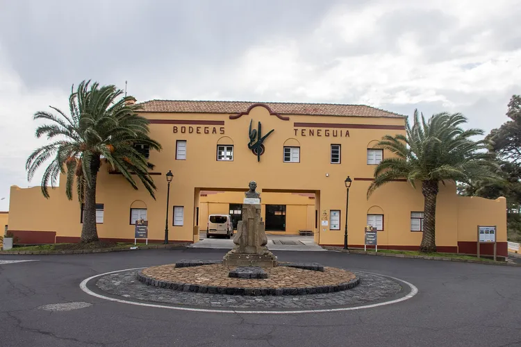 Winery Bodegas Teneguia