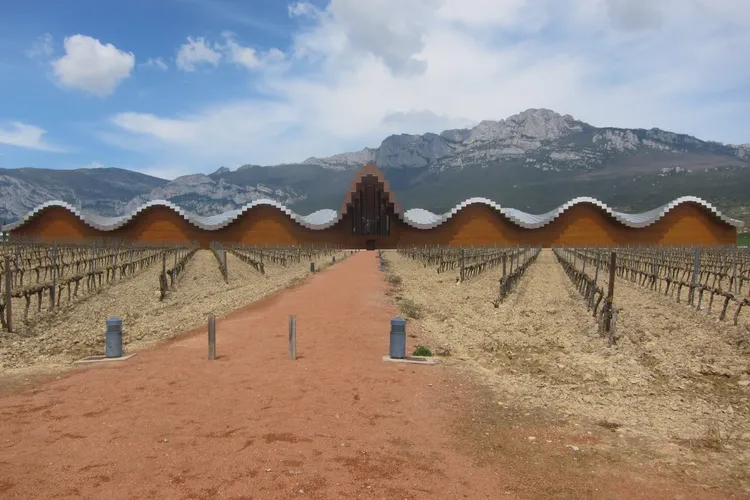 Winery Bodegas Ysios