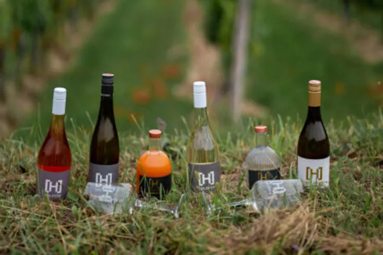 Winery Bründlhof Holzheu