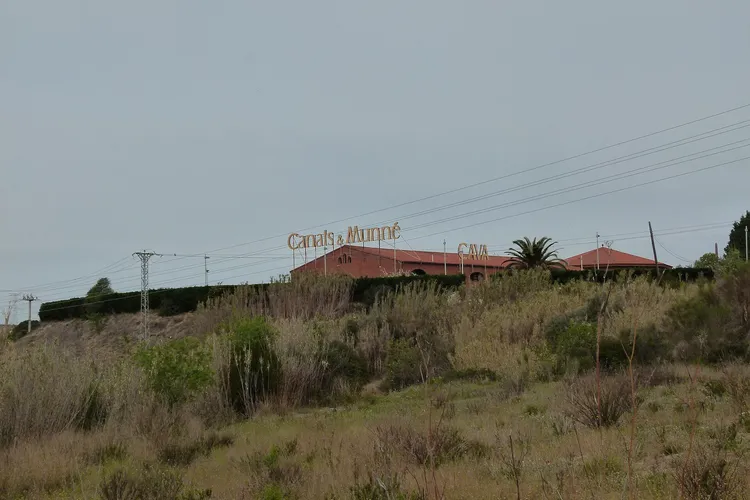 Caves Canals & Munné