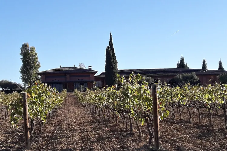 Winery Caves Ventura Soler