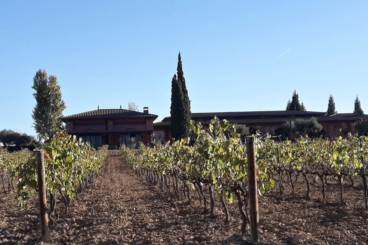 Winery Caves Ventura Soler