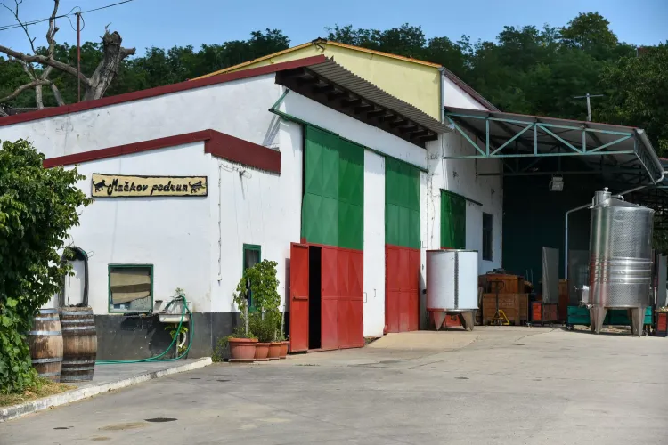 Cellar Mačkov