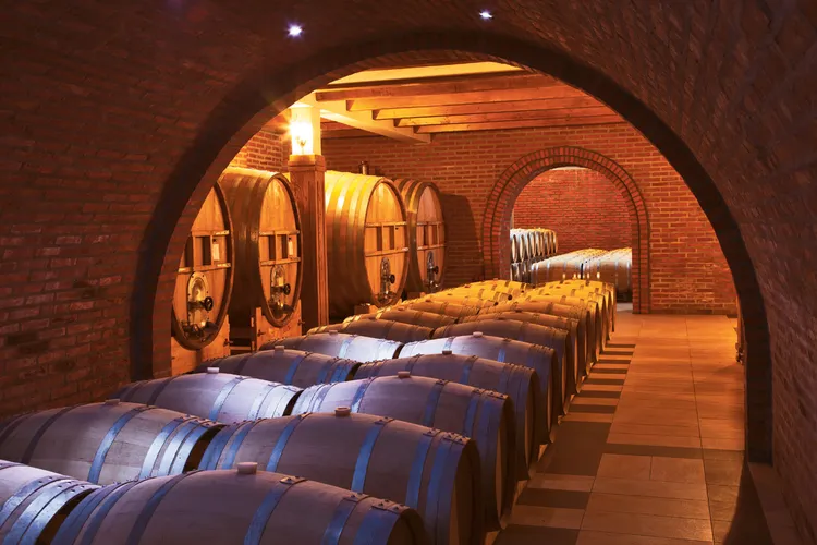 Cellar Radovanović