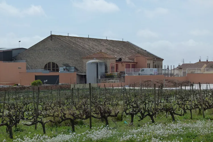 Celler cooperatiu de la Granada