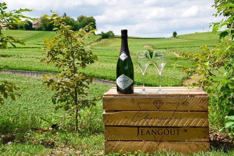 Winery Champagne Jeangout