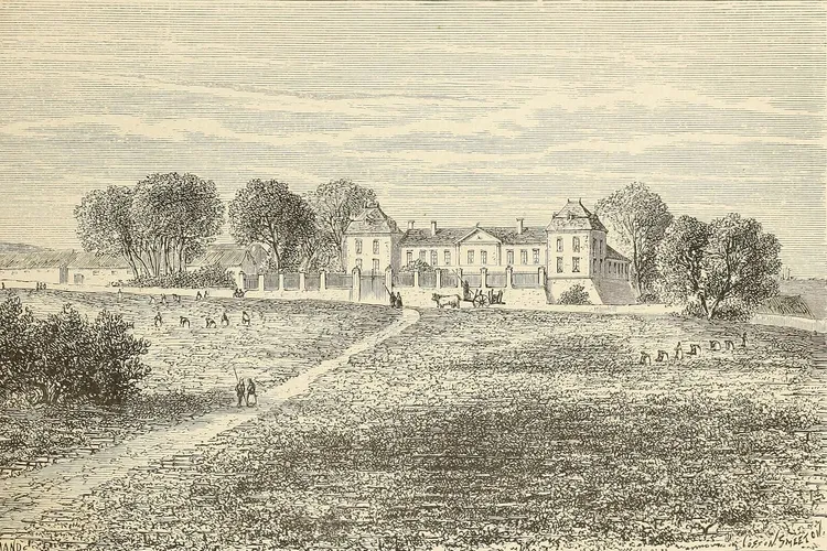 Château Calon-Ségur