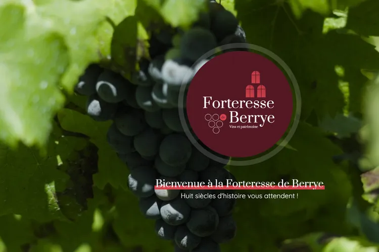 Château de Berrye