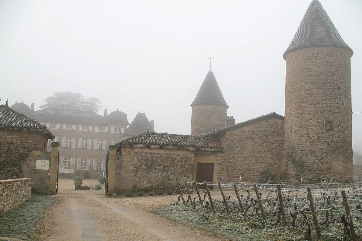 Château de Chasselas