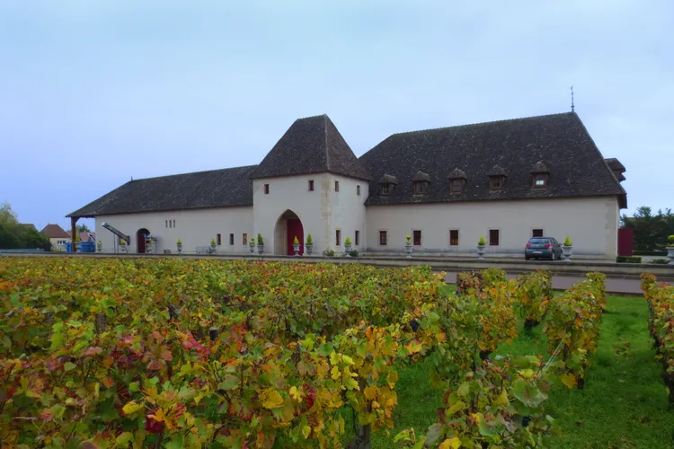 Château de Marsannay