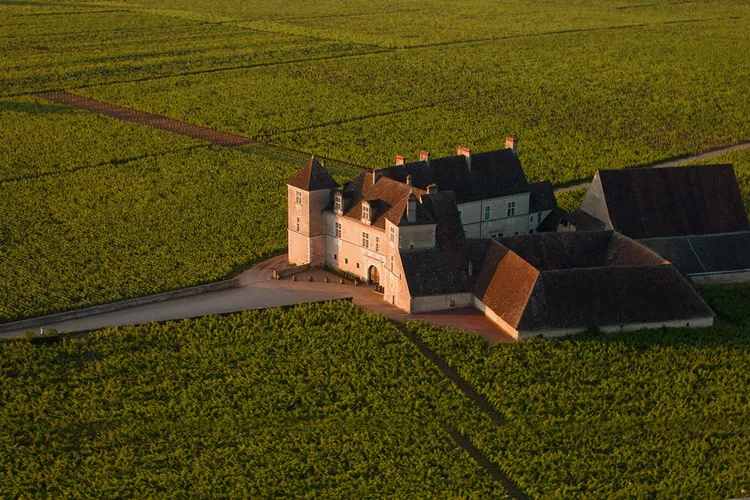 Château du Clos de Vougeot
