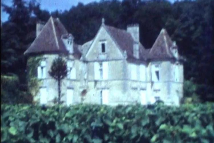 Château Falfas
